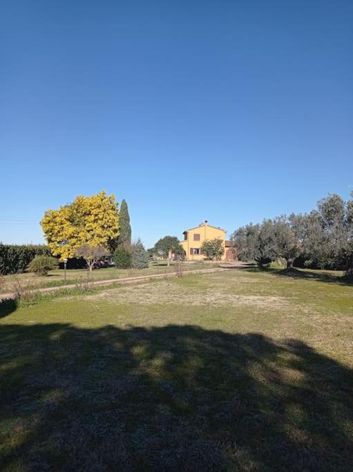 Vila La Casina Di Campagna Tra Cecina E Bibbona Exteriér fotografie