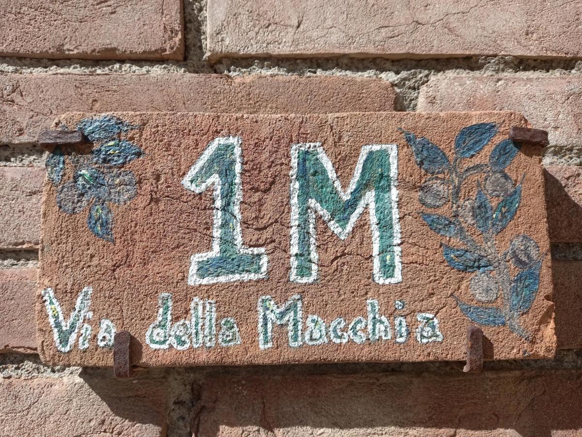 Vila La Casina Di Campagna Tra Cecina E Bibbona Exteriér fotografie