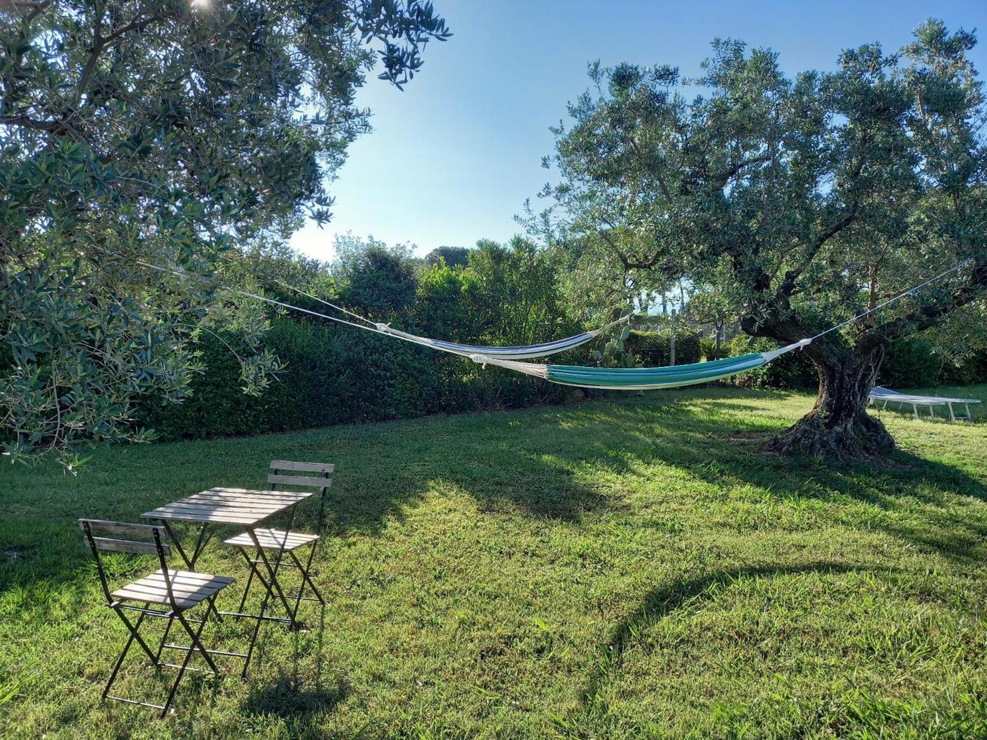 Vila La Casina Di Campagna Tra Cecina E Bibbona Exteriér fotografie